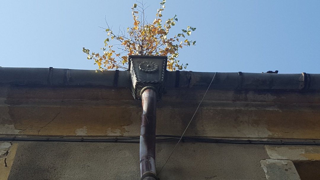 Dachneubau am Rittergut Schönfeld